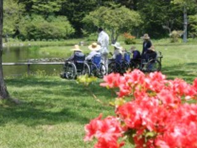 車椅子で散歩する人々 中庭 緑豊かな外の空間で、くつろぎながら穏やかな時間を過ごされている方々の様子が伝わってきます。