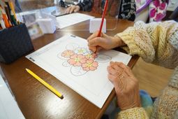 多彩色鉛筆で花塗り