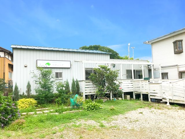 植物が囲む外観 外観 緑に囲まれた建物で、自然が身近に感じられます。穏やかな環境での就業が可能です。