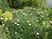 緑豊かな植栽エリア