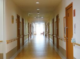 明るい廊下散策しやすい構造