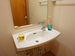 清潔な洗面台と鏡