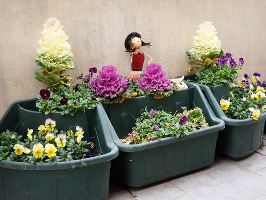 中庭の彩り豊かな花