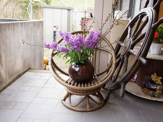 紫色の花と竹製椅子
