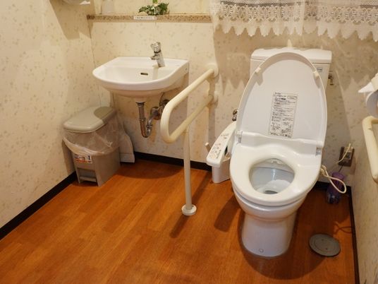 手すり付きトイレの内観