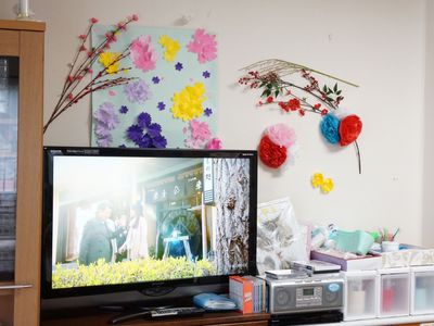 リビングの装飾とテレビ