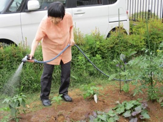 庭の植物に水をやる人