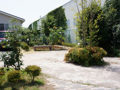 緑豊かな中庭の風景