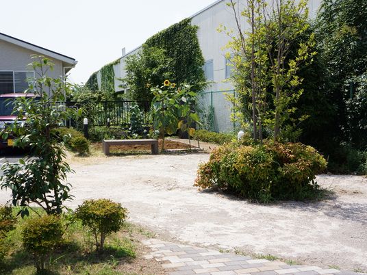 緑豊かな中庭の風景