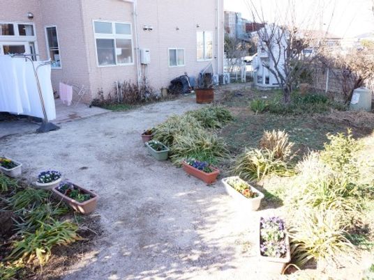 中庭の植物とベンチ