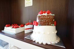 イベント用ケーキ展示