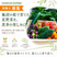 野菜が並ぶ募集の案内  