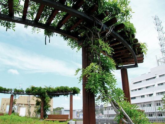 緑豊かな中庭