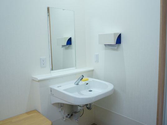 腰掛の隣に洗面台がある。洗面台の上には鏡とコンセント、照明のボタンがある。脇にはペーパータオルが設置されている。