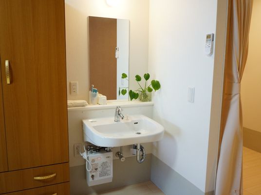 入口の近くに洗面台がある。鏡の前には歯ブラシや観葉植物が置かれている。壁にはエアコンのリモコンがある。