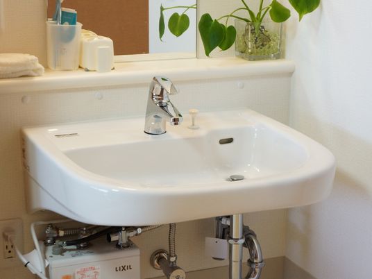レバー式の蛇口が付いた洗面台。洗面台の上は少し奥行きがあり、デンタルケア用品、タオル、観葉植物が置いてある。