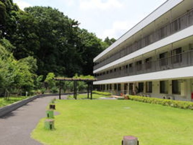 緑豊かな庭 庭 自然に囲まれた庭は、リラックスできる環境です。気軽に散歩を楽しめるスペースとなっています。