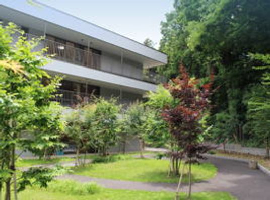 緑豊かな庭