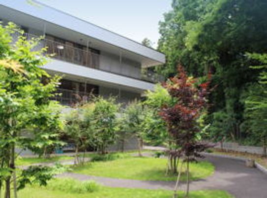 緑豊かな庭
