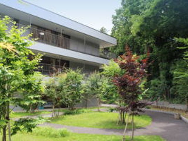 緑豊かな庭 庭 四季折々の自然が楽しめる庭が広がっています。リラックスしながら散歩をするのに最適です。