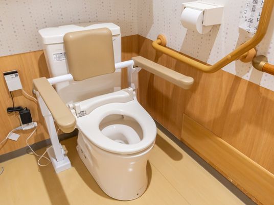 手すり付きトイレ  