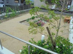 中庭の植物とベンチ