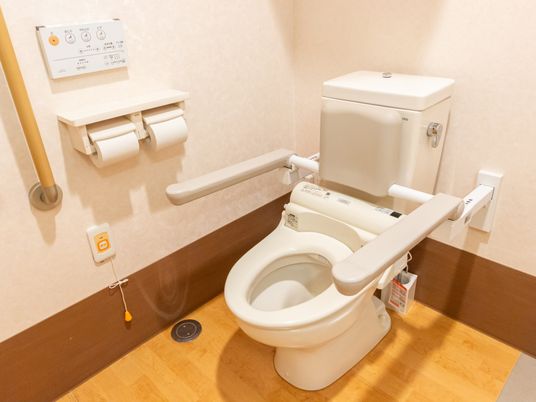 安全な設備のトイレ