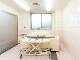 機能的な設備の浴室