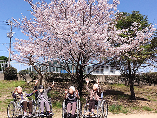 桜の下の車椅子利用者 中庭 車椅子の方々が桜の木の下でリラックスしています。穏やかな自然の中でリフレッシュできます。