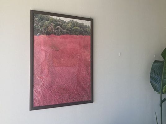 飾られた絵画の壁