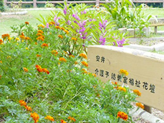 色とりどりの花が咲く庭