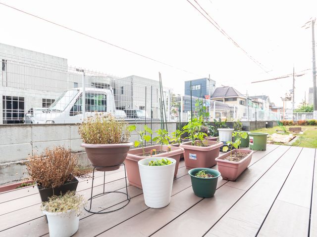 屋外の植物が並ぶ空間 テラス 手入れされた植物が置かれた屋外スペースです。静かな時間を過ごすのに適した場所となっております。