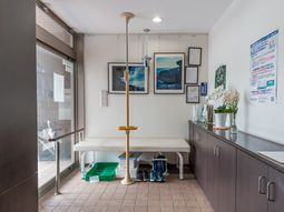 エントランスの風景