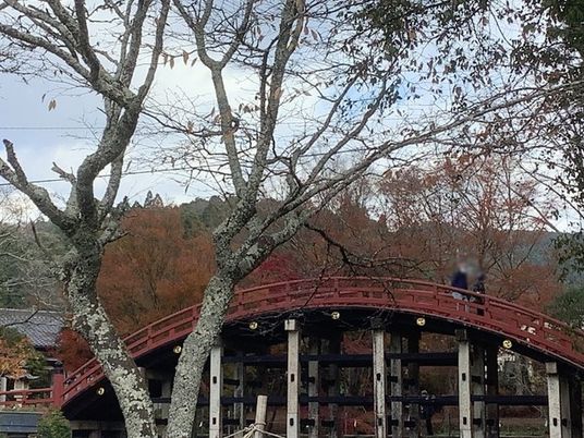 緑豊かな庭園