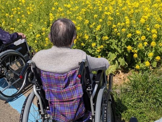 車椅子の様子を示す庭