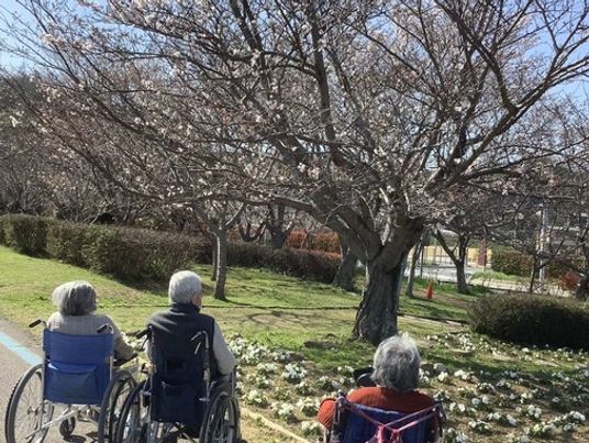 自然を楽しむ庭
