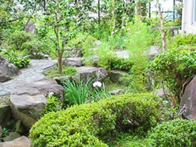 緑豊かな庭