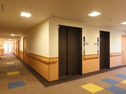 きれいな廊下とエレベーター
