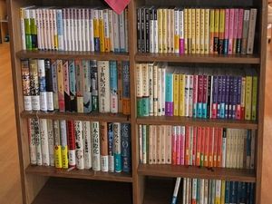 本棚の書籍コーナー  