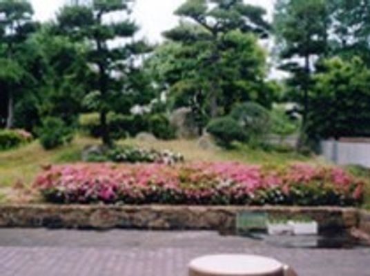 緑豊かな中庭風景