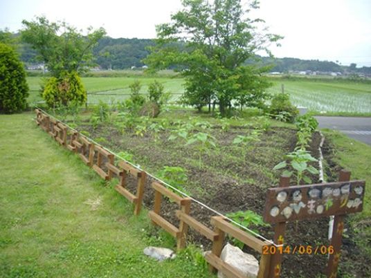 緑豊かな庭園風景