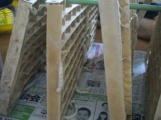 紙で作られた手工芸品