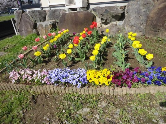 色とりどりの花壇の庭  