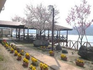 湖畔の庭園