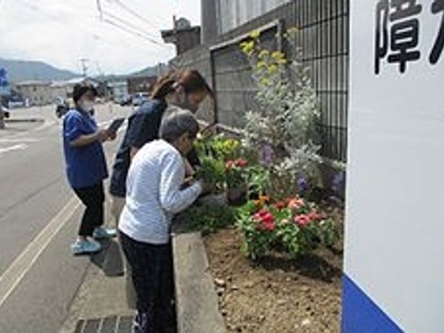 カラフルな花壇 施設外観 外観 色とりどりの花々が咲き誇る庭で、訪れる人々の心を和ませます。外での活動も楽しめます。