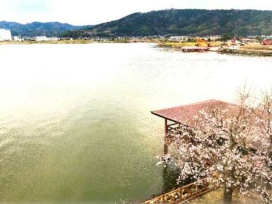美しい湖と桜の風景