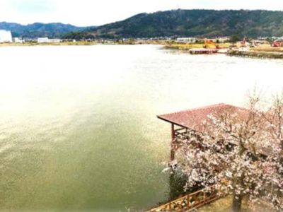美しい湖と桜の風景