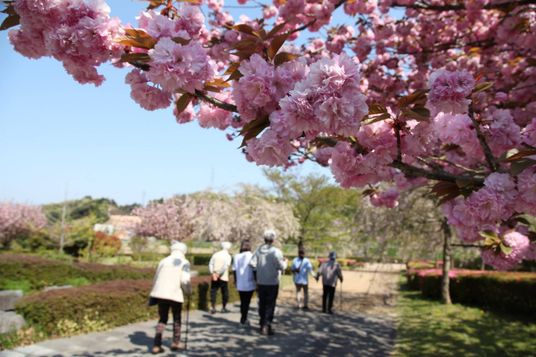 春の庭園を散策