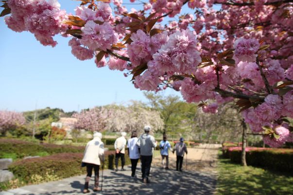 春の庭園を散策