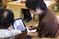 新聞を読む様子の客室